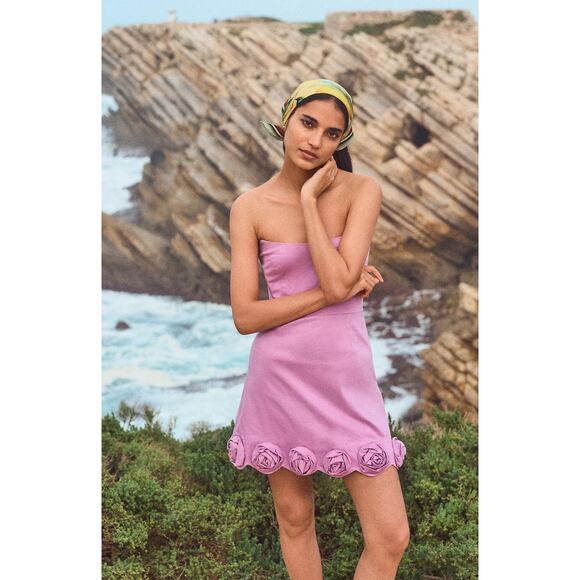 Anthropologie Maeve Strapless Rosette-Trim Mini Dress - New Large - Picture 3 of 6